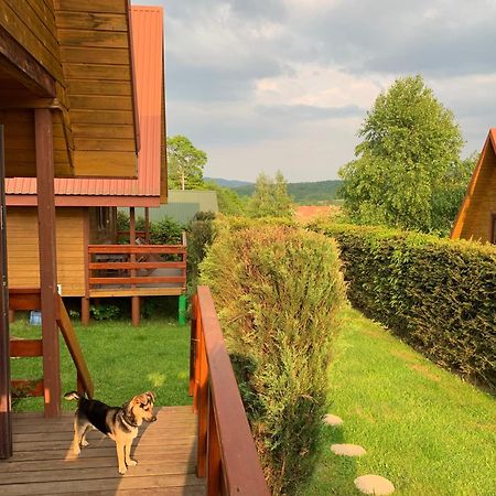 Domki Nad Solina Czarny Kot 509-797-777 Luaran gambar