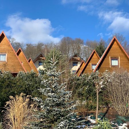 Domki Nad Solina Czarny Kot 509-797-777 Luaran gambar
