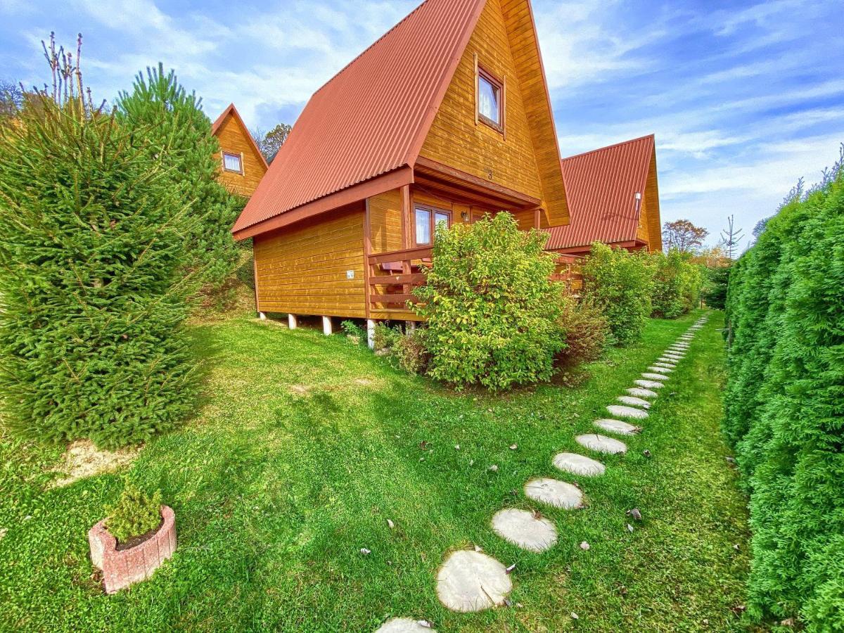 Domki Nad Solina Czarny Kot 509-797-777 Luaran gambar