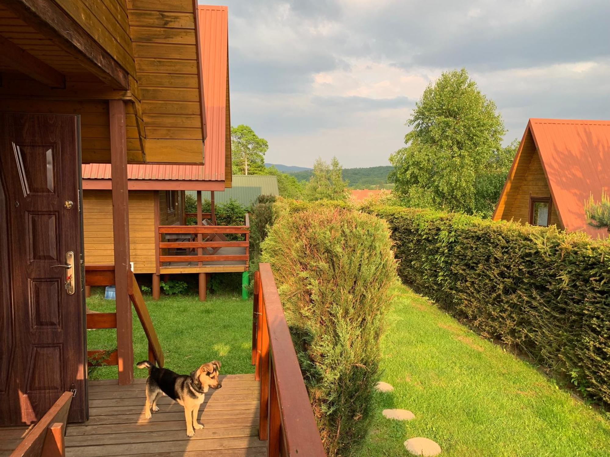 Domki Nad Solina Czarny Kot 509-797-777 Luaran gambar