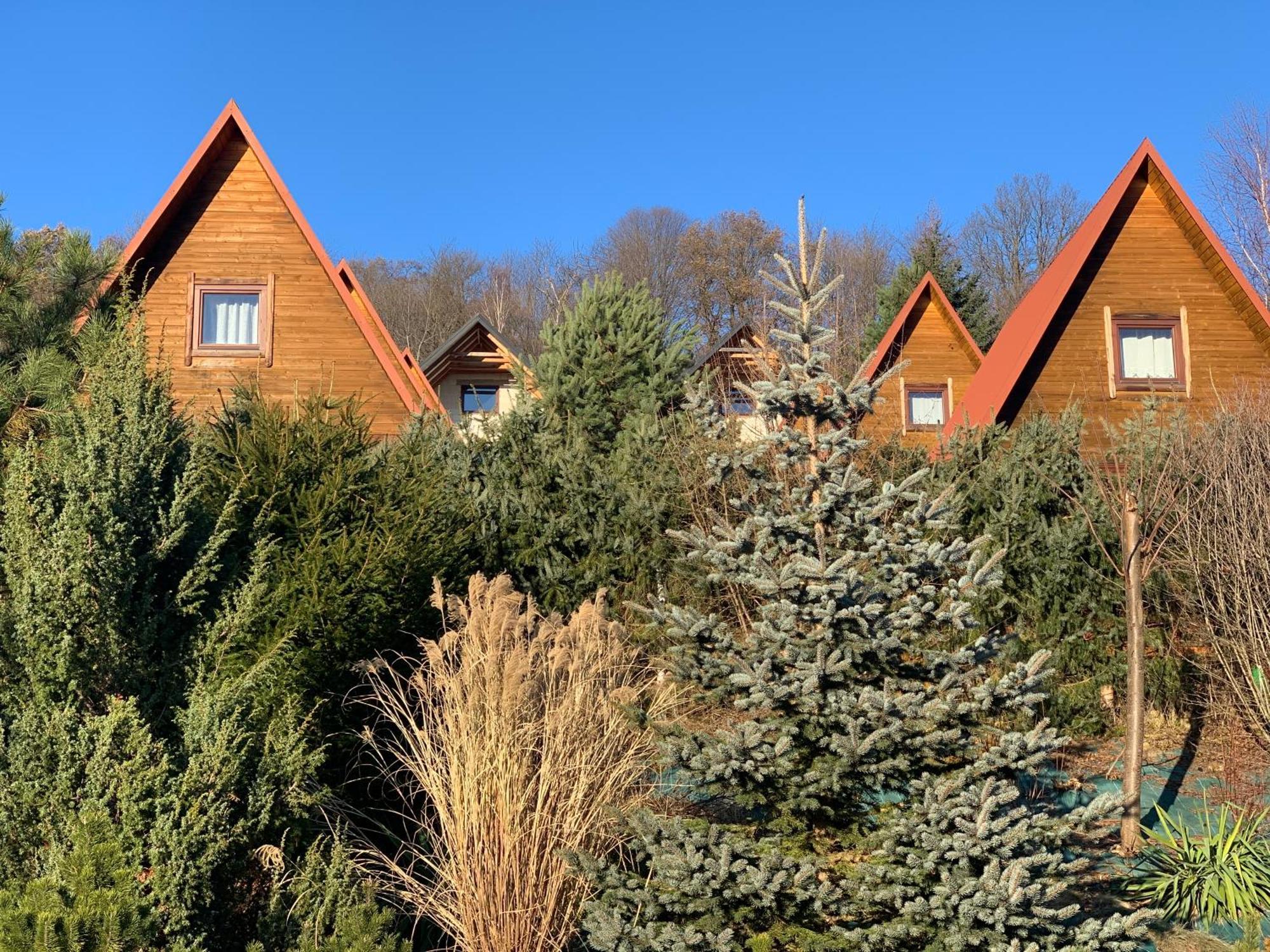 Domki Nad Solina Czarny Kot 509-797-777 Luaran gambar