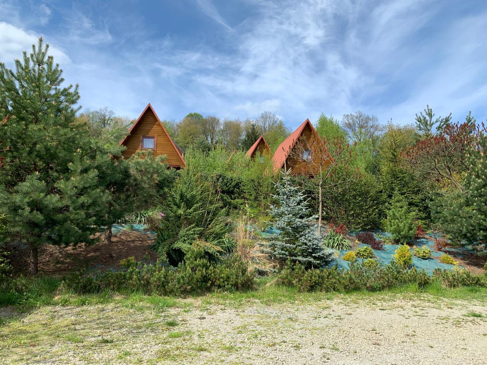 Domki Nad Solina Czarny Kot 509-797-777 Luaran gambar